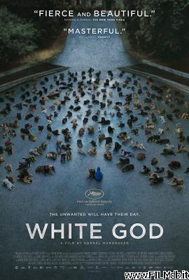 Locandina del film White God - Sinfonia per Hagen