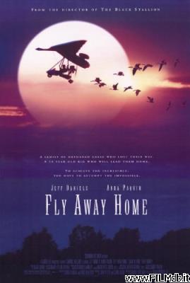 Poster of movie fly away home