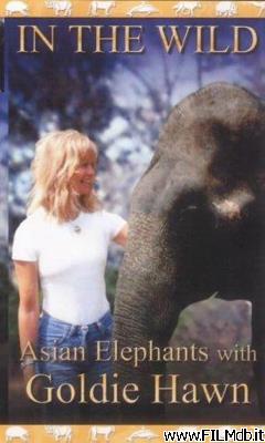 Poster of movie The Elephants of India with Goldie Hawn [filmTV]
