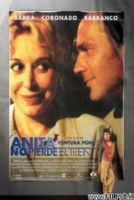 Poster of movie Anita no perd el tren