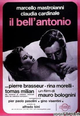 Affiche de film Il bell'Antonio