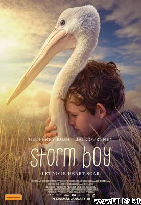 Affiche de film Storm Boy - Il ragazzo che sapeva volare