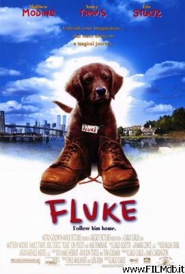 Poster of movie fluke