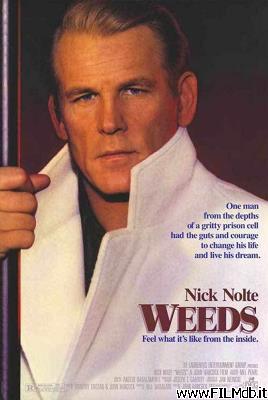 Poster of movie weeds
