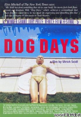 Poster of movie Dog Days