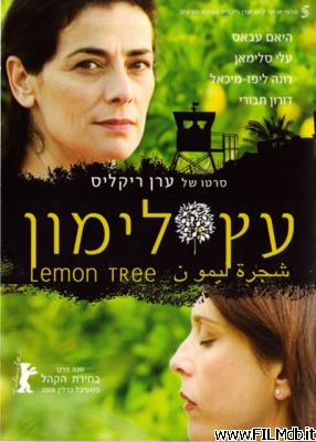 Locandina del film Il giardino di limoni - Lemon Tree