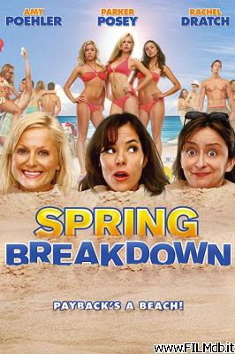 Locandina del film spring breakdown