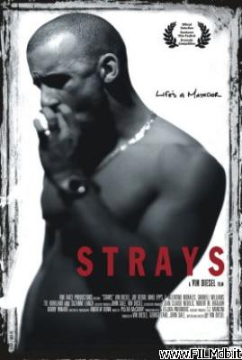 Poster of movie strays