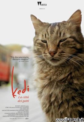 Cartel de la pelicula kedi - la città dei gatti
