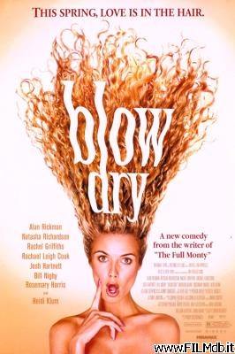Poster of movie Blow Dry
