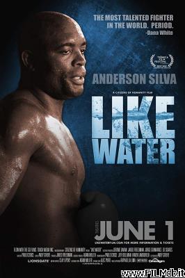 Cartel de la pelicula like water