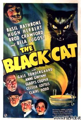 Cartel de la pelicula El gato negro