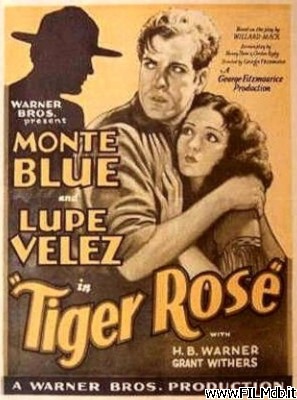 Affiche de film La Tigresse