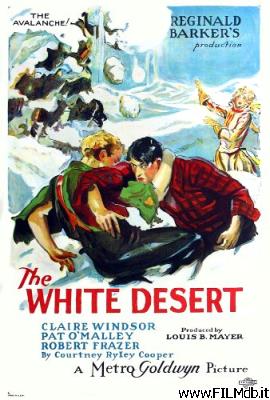 Affiche de film the white desert