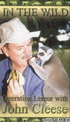 Poster of movie Operation Lemur: Mission to Madagascar [filmTV]