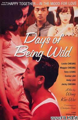 Poster of movie days of being wild