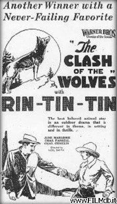 Affiche de film Clash of the Wolves