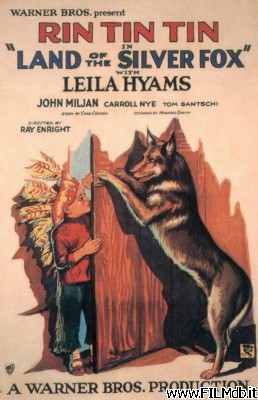 Locandina del film Land of the Silver Fox
