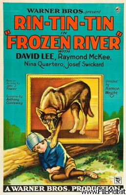 Affiche de film Frozen River