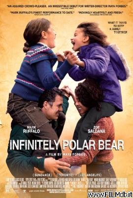 Poster of movie infinitely polar bear