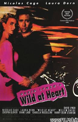 Poster of movie wild at heart