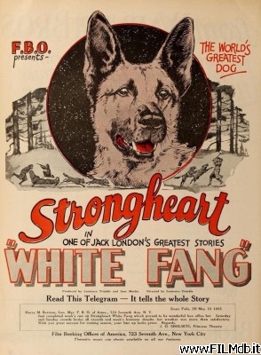 Affiche de film White Fang