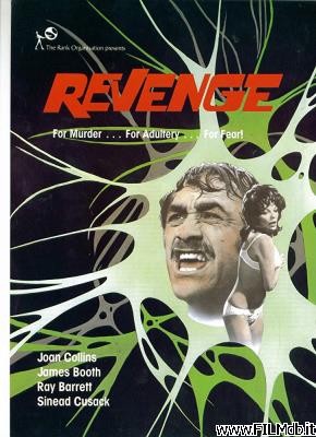 Poster of movie revenge