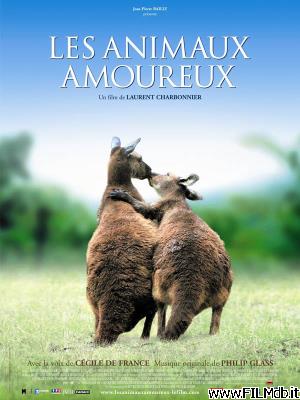 Poster of movie Animals in Love