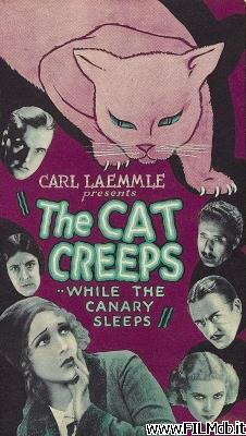 Affiche de film The Cat Creeps