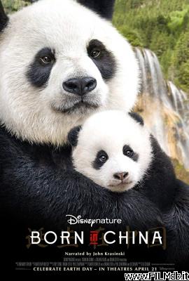 Poster of movie born in china