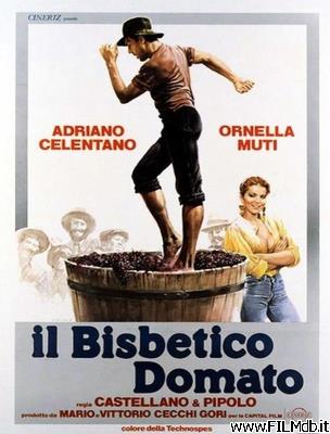 Locandina del film il bisbetico domato