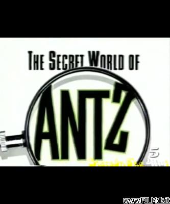 Cartel de la pelicula El mundo secreto de Antz [corto]