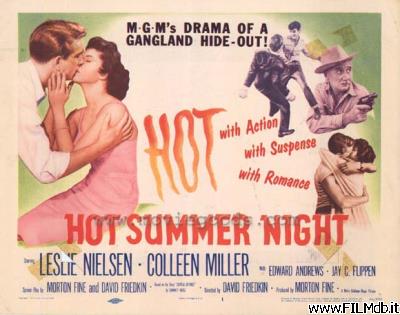 Locandina del film una calda notte d'estate