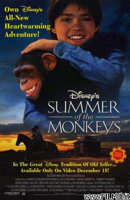 Locandina del film L'estate delle scimmie [filmTV]
