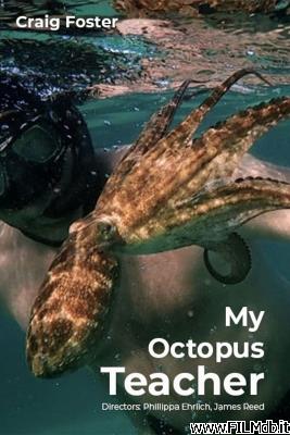 Cartel de la pelicula My Octopus Teacher