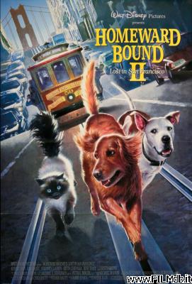 Poster of movie Homeward Bound 2: Lost in San Francisco