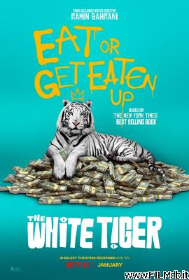 poster Locandina del film La tigre bianca