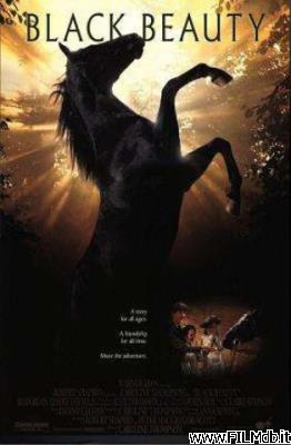 Poster of movie black beauty