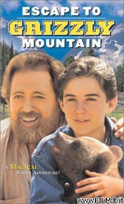 Affiche de film Ritorno a Grizzly Mountain