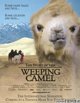 Affiche de film La storia del cammello che piange