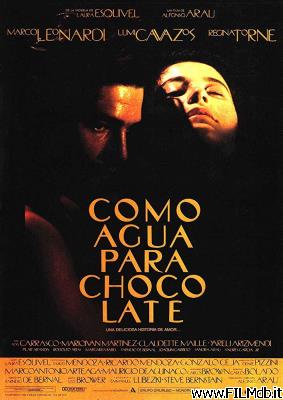 Poster of movie Like Water for Chocolate