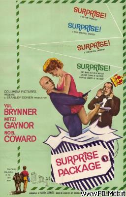 Poster of movie Surprise Package
