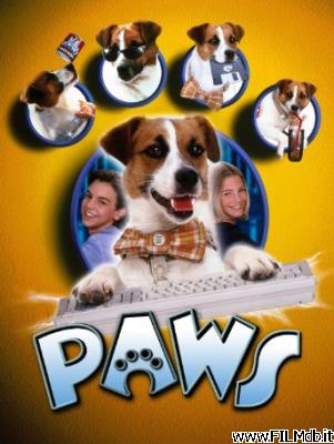 Poster of movie paws