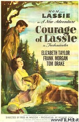 Poster of movie Courage of Lassie