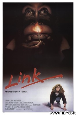 Locandina del film Link