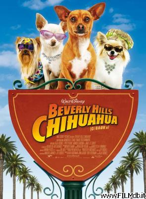 Affiche de film beverly hills chihuahua