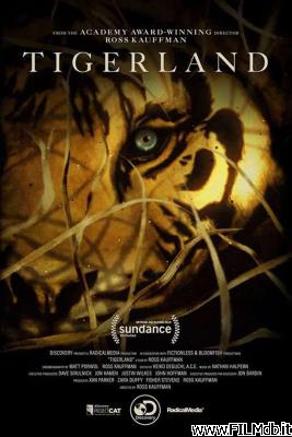 Affiche de film Taken by the Tiger