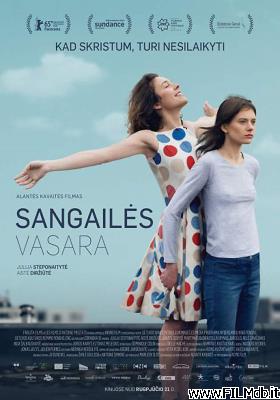 Poster of movie The Summer of Sangaile