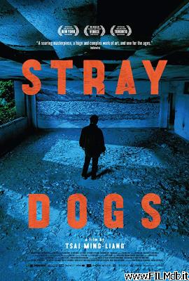 Poster of movie stray dogs
