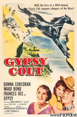 Poster of movie Gypsy Colt